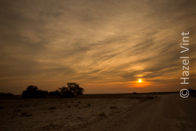 namibia.hazel.vint.hazey.photography-9