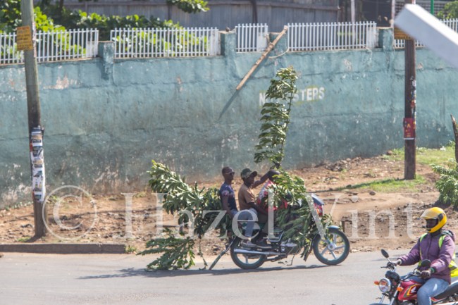 protest.cord.anti-IBEC.demonstration.June6th.2016.Kisumu.kenya.roadblock.burning.riot-2